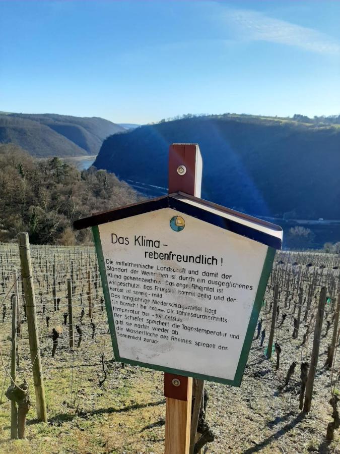 Auszeit Rheingauer Rosengasse Appartement Johannisberg Buitenkant foto